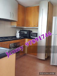 Twin Heights (D12), Apartment #141279812